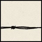 Birds, Marfa