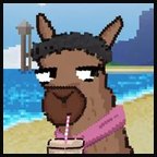 NFTllamas